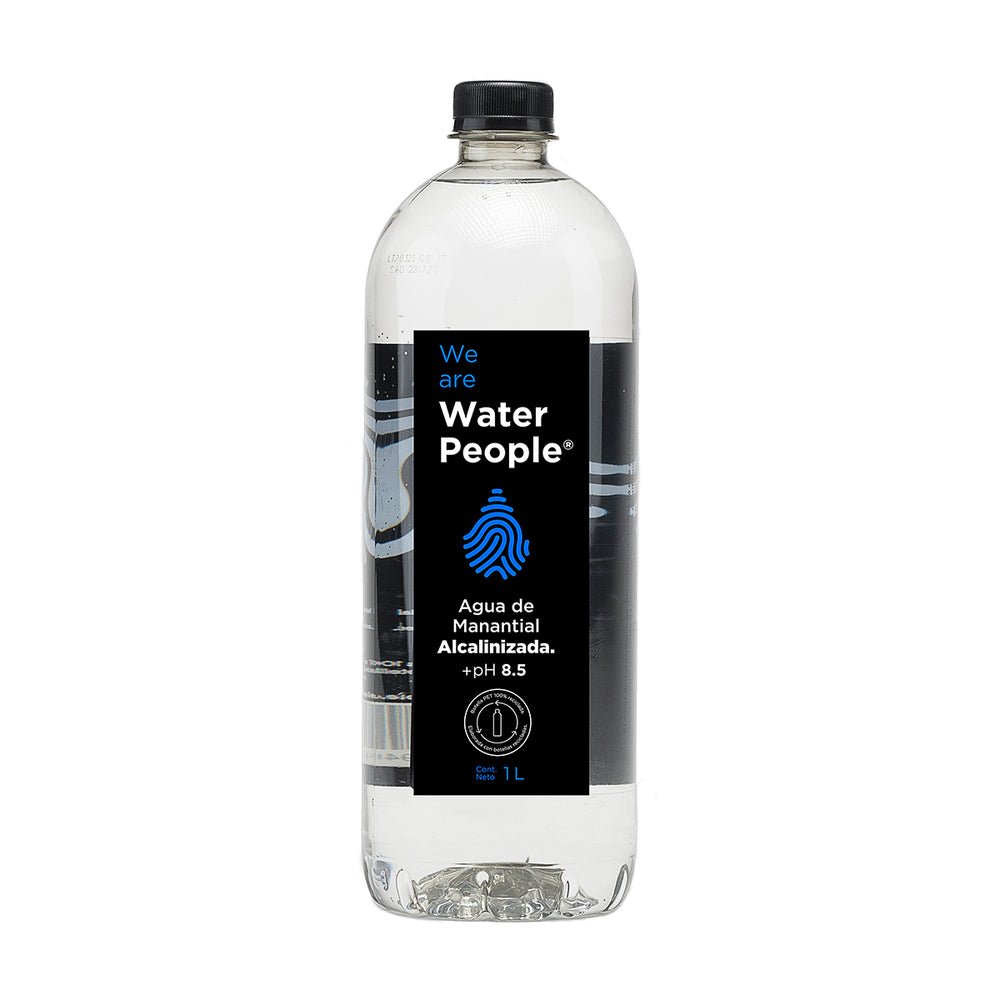 Agua de Manantial Alcalinizada 1L